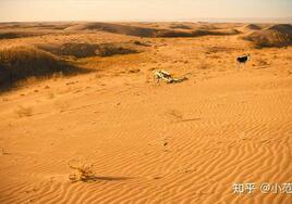 女子醒来发现被困在沙漠里的电影